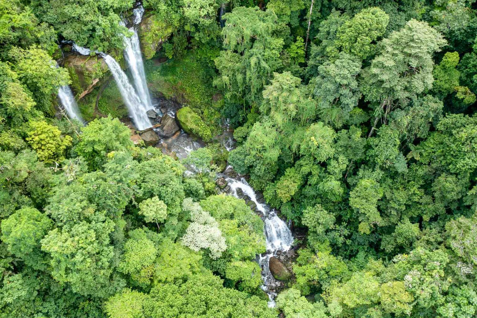 150-Acre Waterfall Farm Near Tinamaste property photo 2