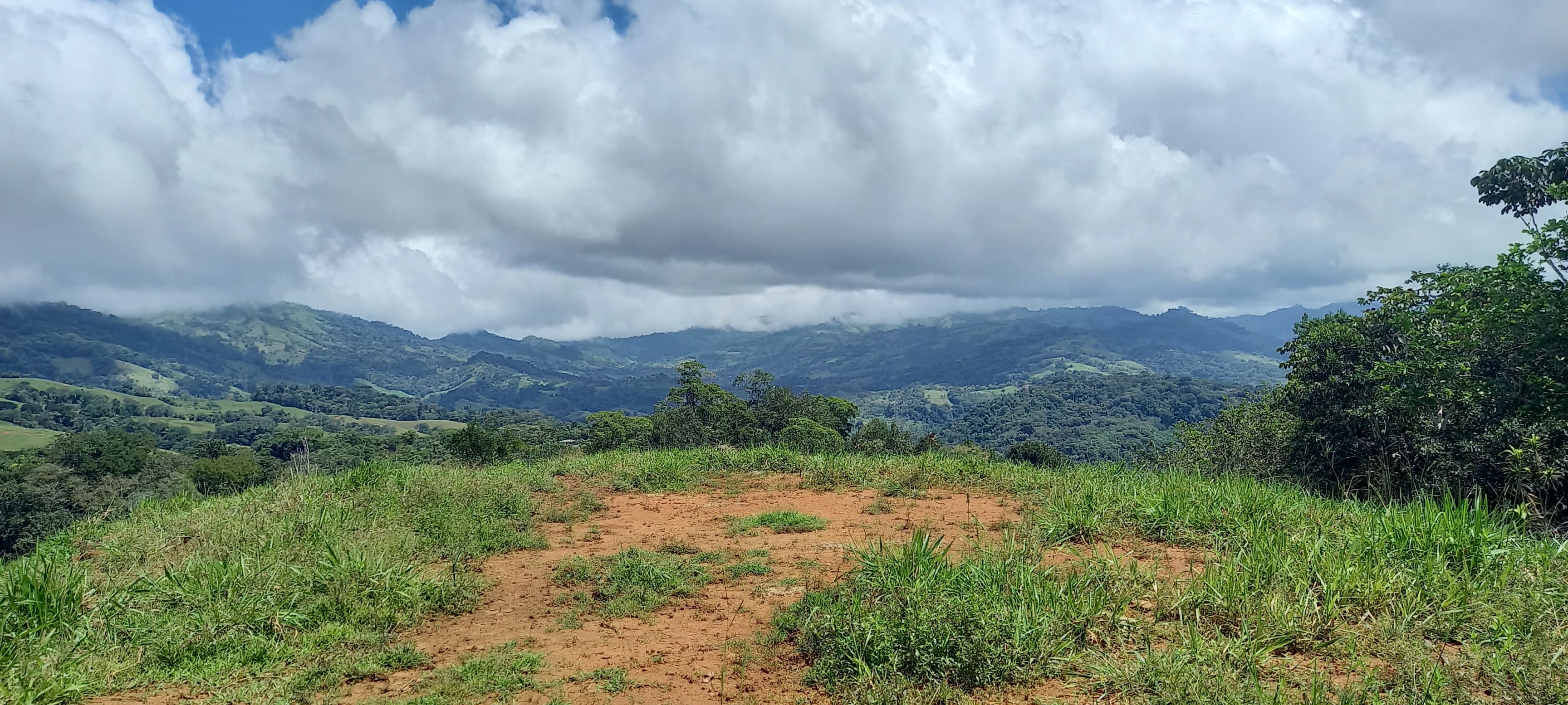 35-Acre Estate in Platanillo with Waterfall property photo 2