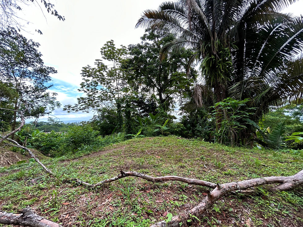 Thumbnail: Ocean View Land in Playa Hermosa | 1+ Acre Near Uvita