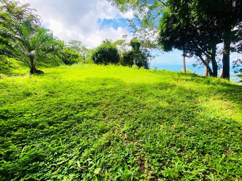 1.43-Acre Ocean View Land in Uvita property photo 5