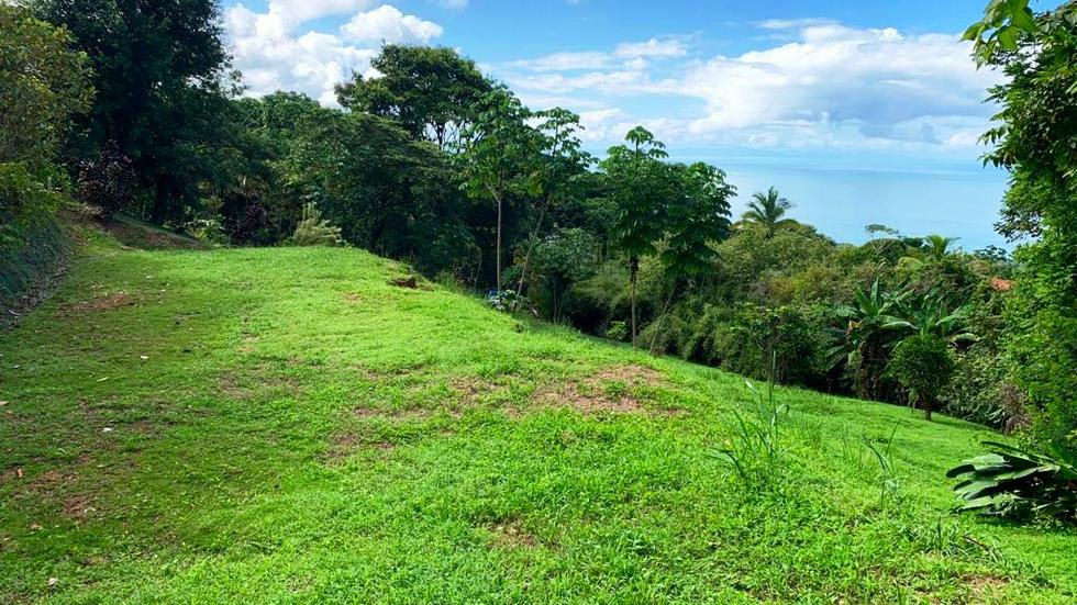 Thumbnail: Ocean View Land in Escaleras Dominical | Build-Ready with Legal Water