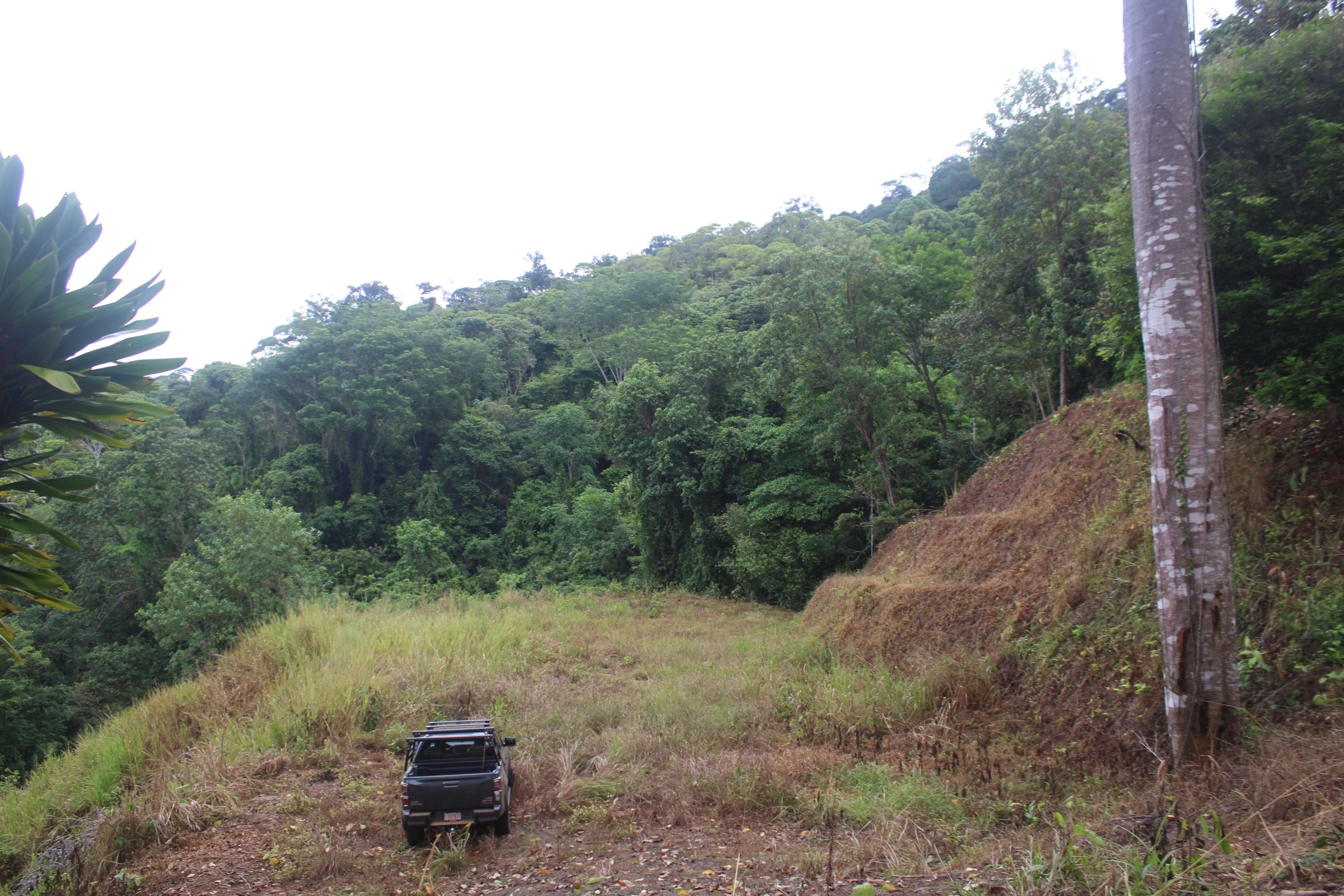 5-Acre Ocean View Lot with Waterfall, Stairway to the Stars, Tres Rios property photo 5