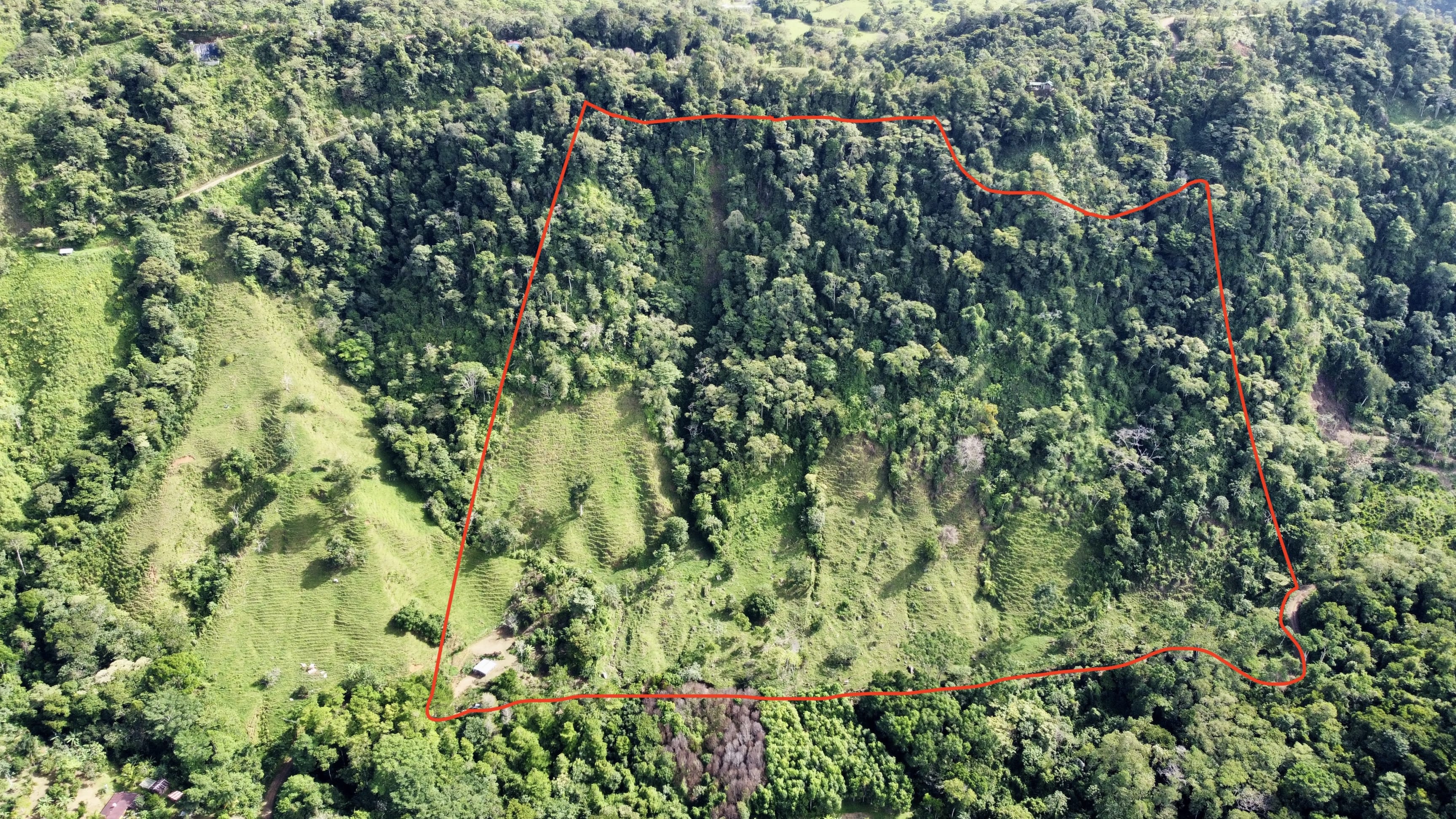 23-Acre Ocean View Farm in San Luis de Morete in San Isidro, Costa Rica