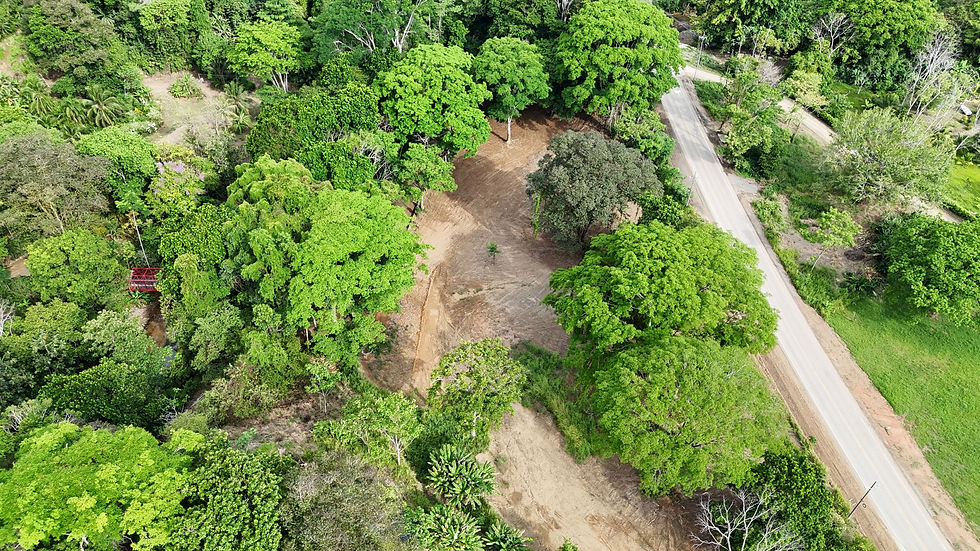 Thumbnail: Commercial Land in Ojochal | 4 Acres on Main Highway