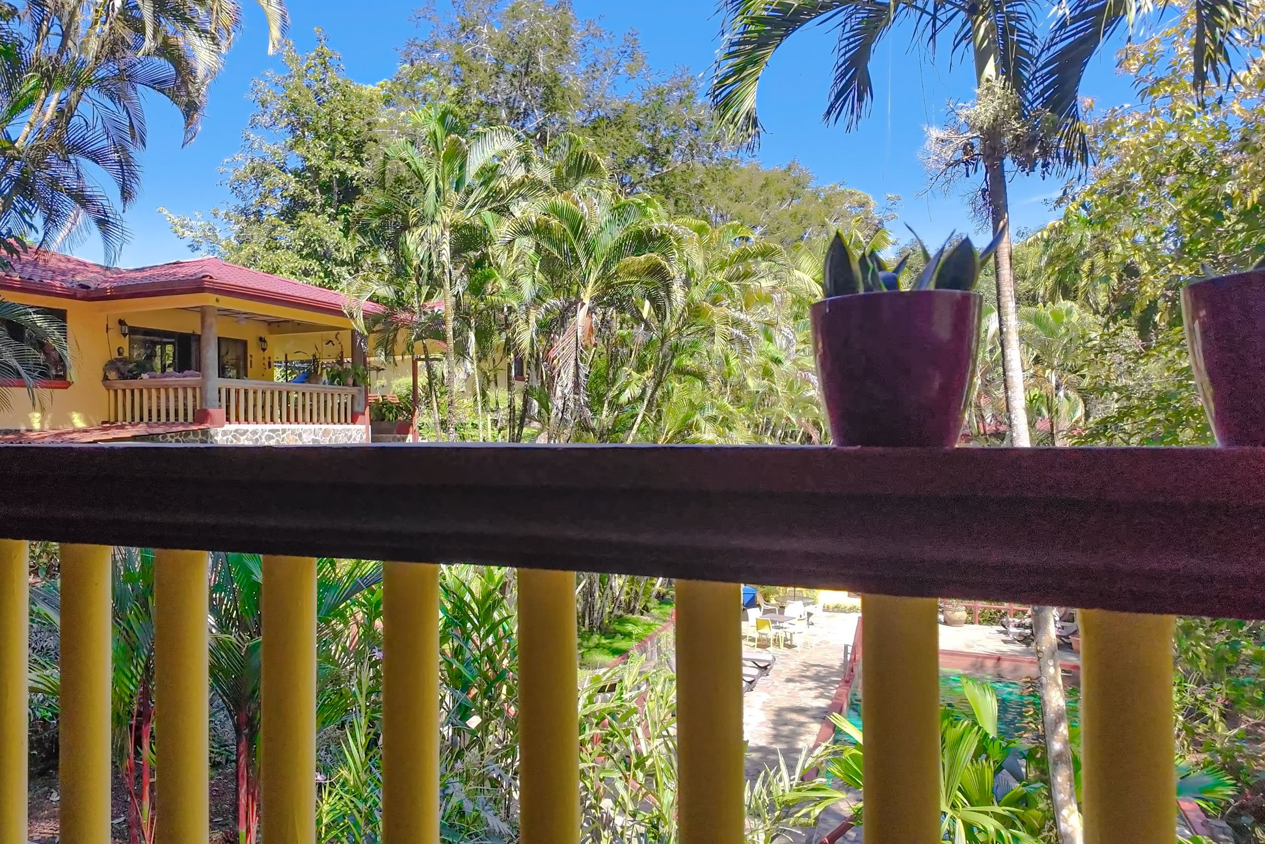 Gated Rainforest Condo (Flutterby Condo) in Manuel Antonio property photo 3