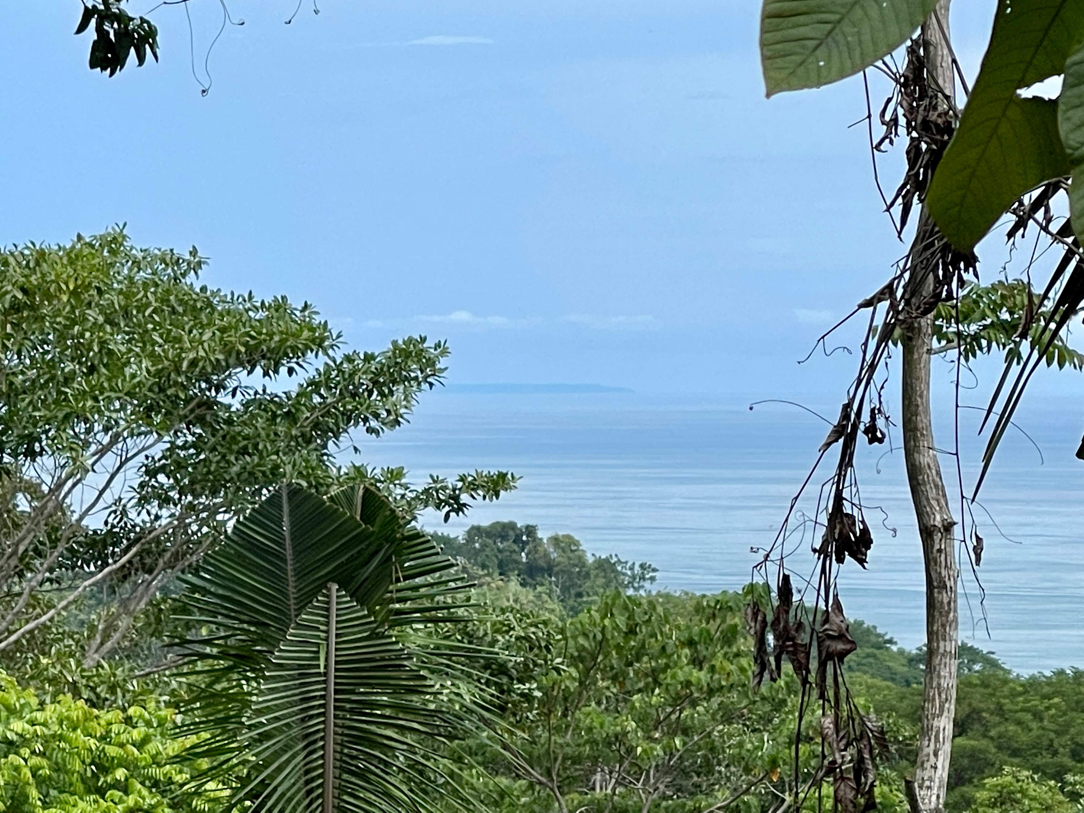 Ocean View Land in a Gated Community, Hatillo property photo 2