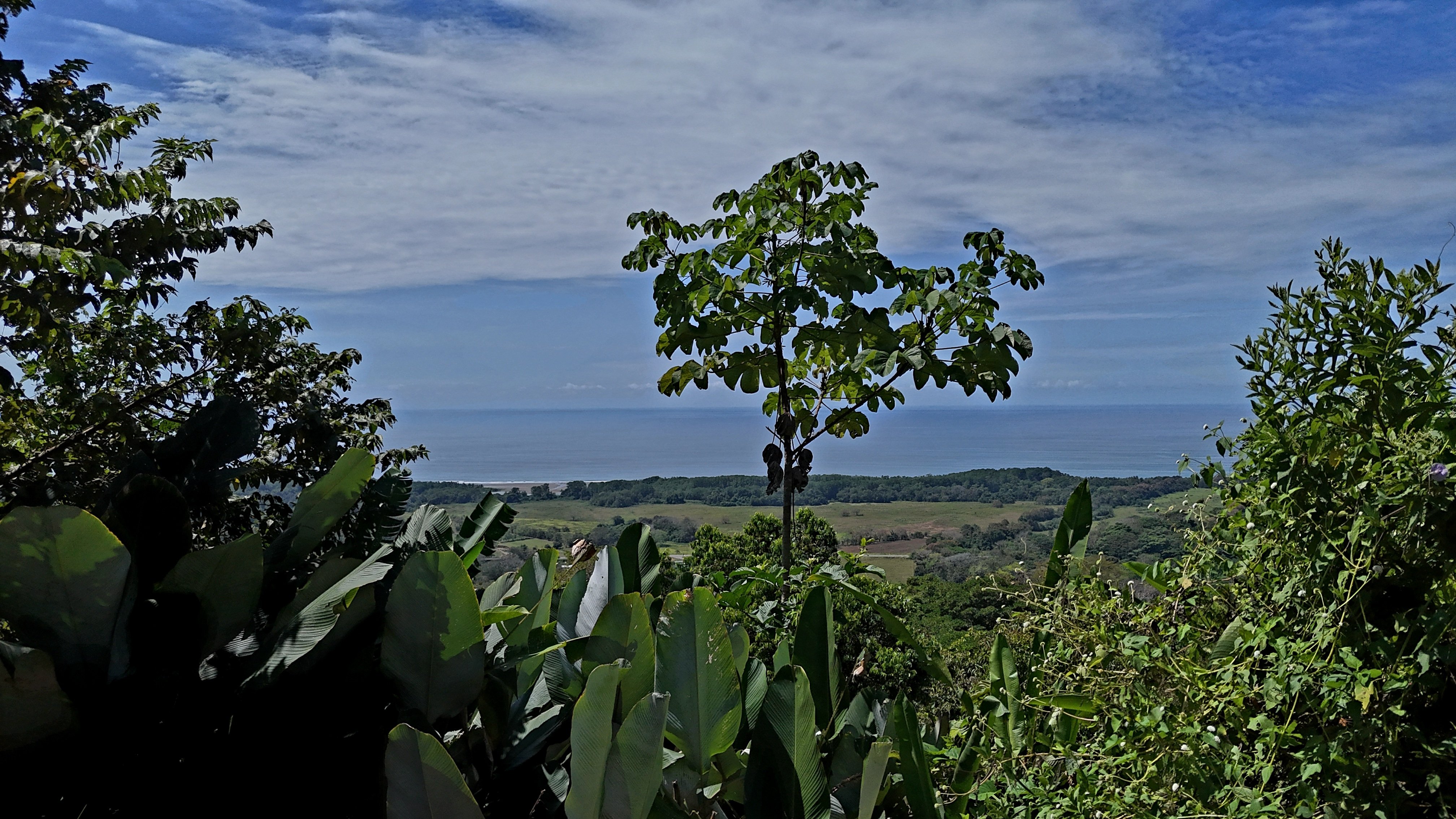Ocean View Land in Hatillo property photo 3