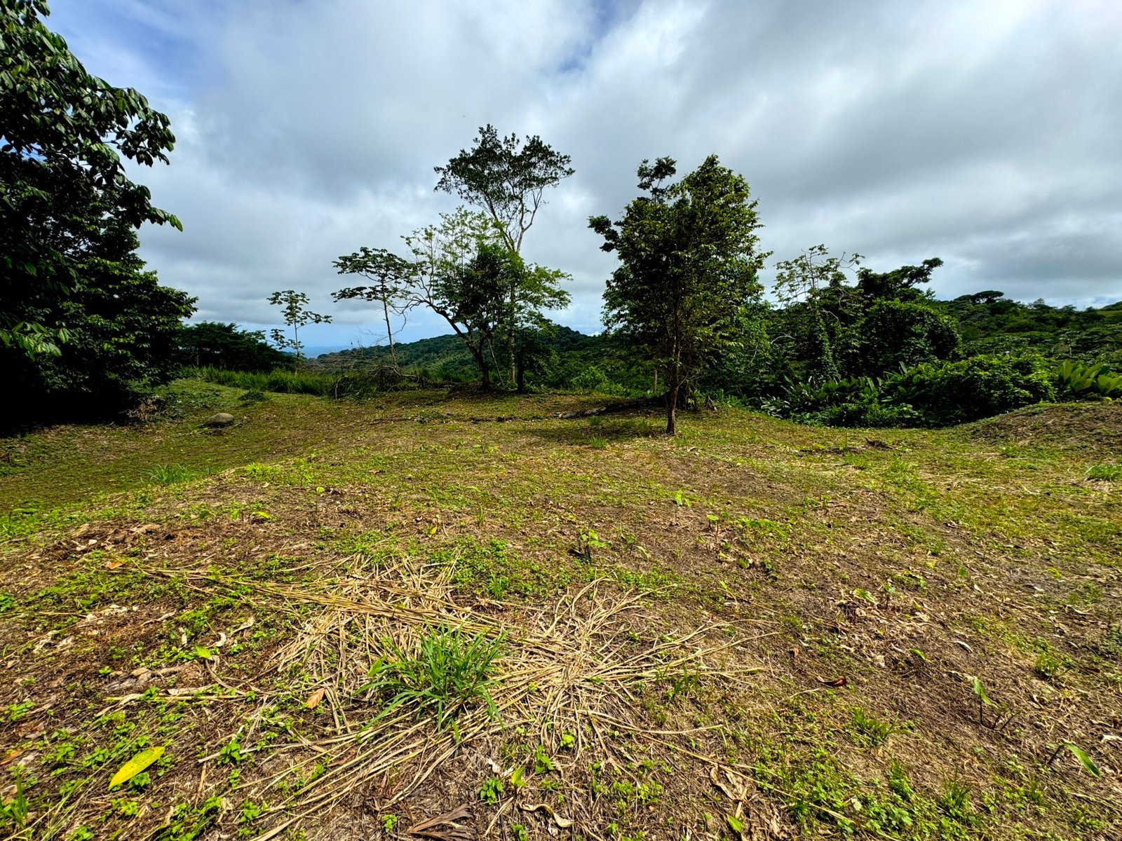 4.76-Acre Ocean View Land in Lagunas, Near Dominical property photo 3