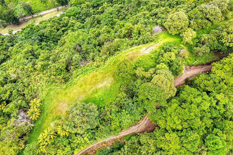 Thumbnail: Development Land in Coronado | 4 Lots with Ocean & Jungle Views