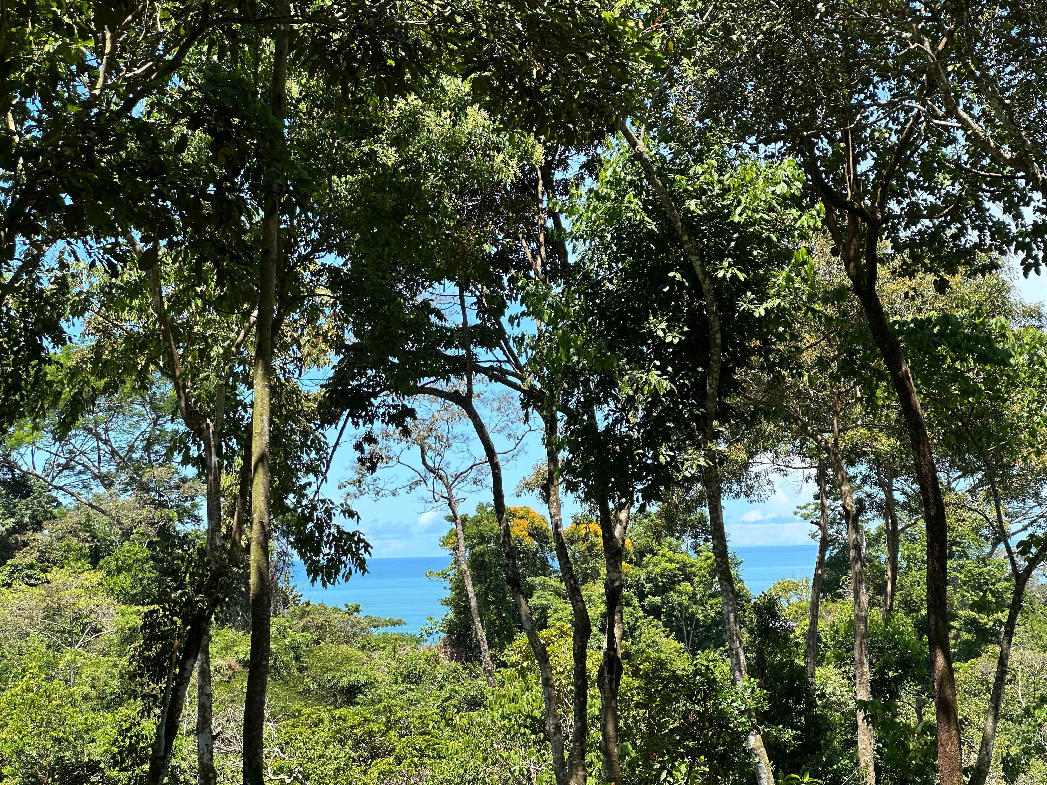 8.9-Acre Ocean View Lot in Paradise Breezes, Hatillo in Dominical, Costa Rica