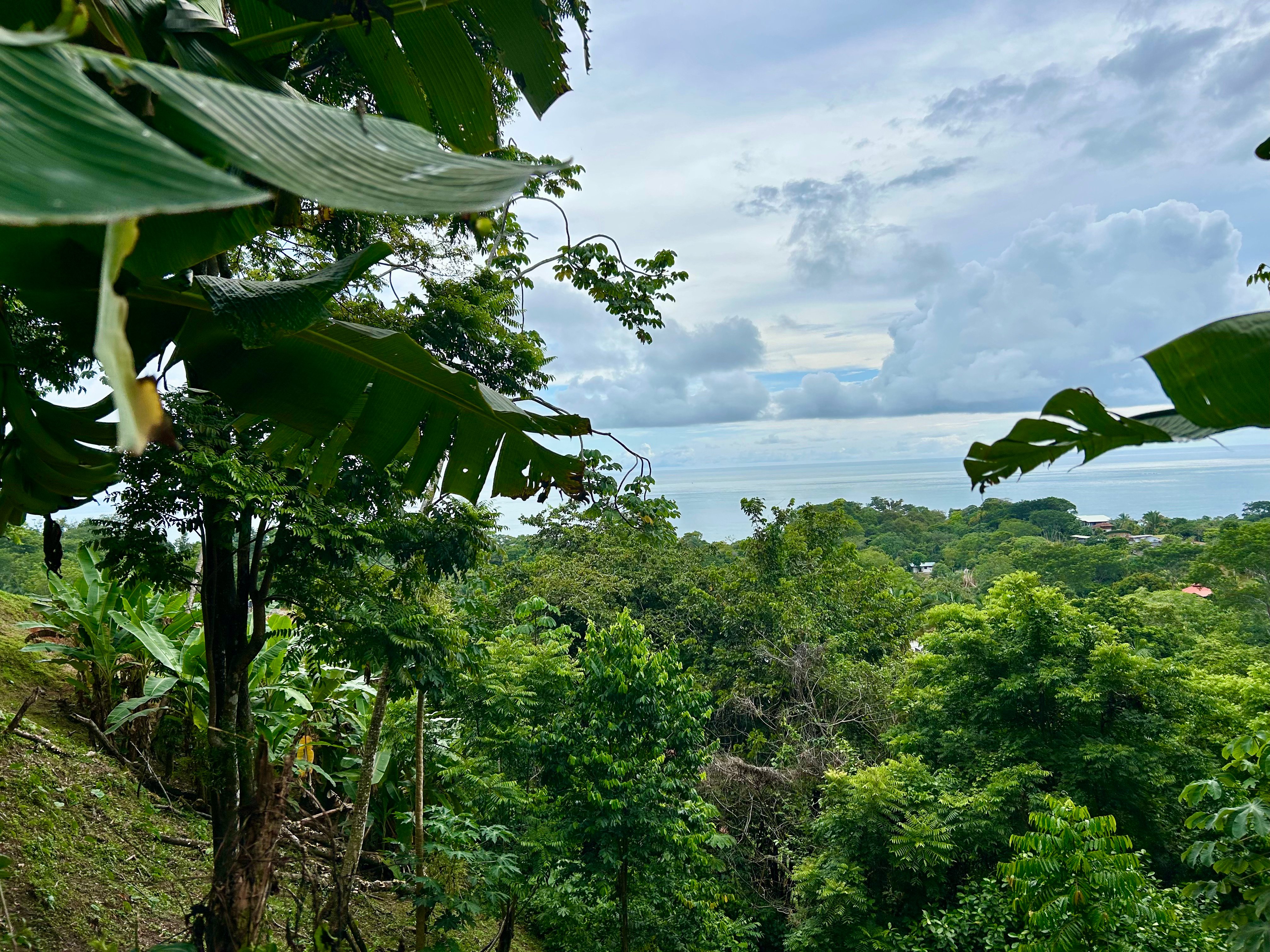 Ocean View Land in Playa Hermosa, Near Uvita property photo 3