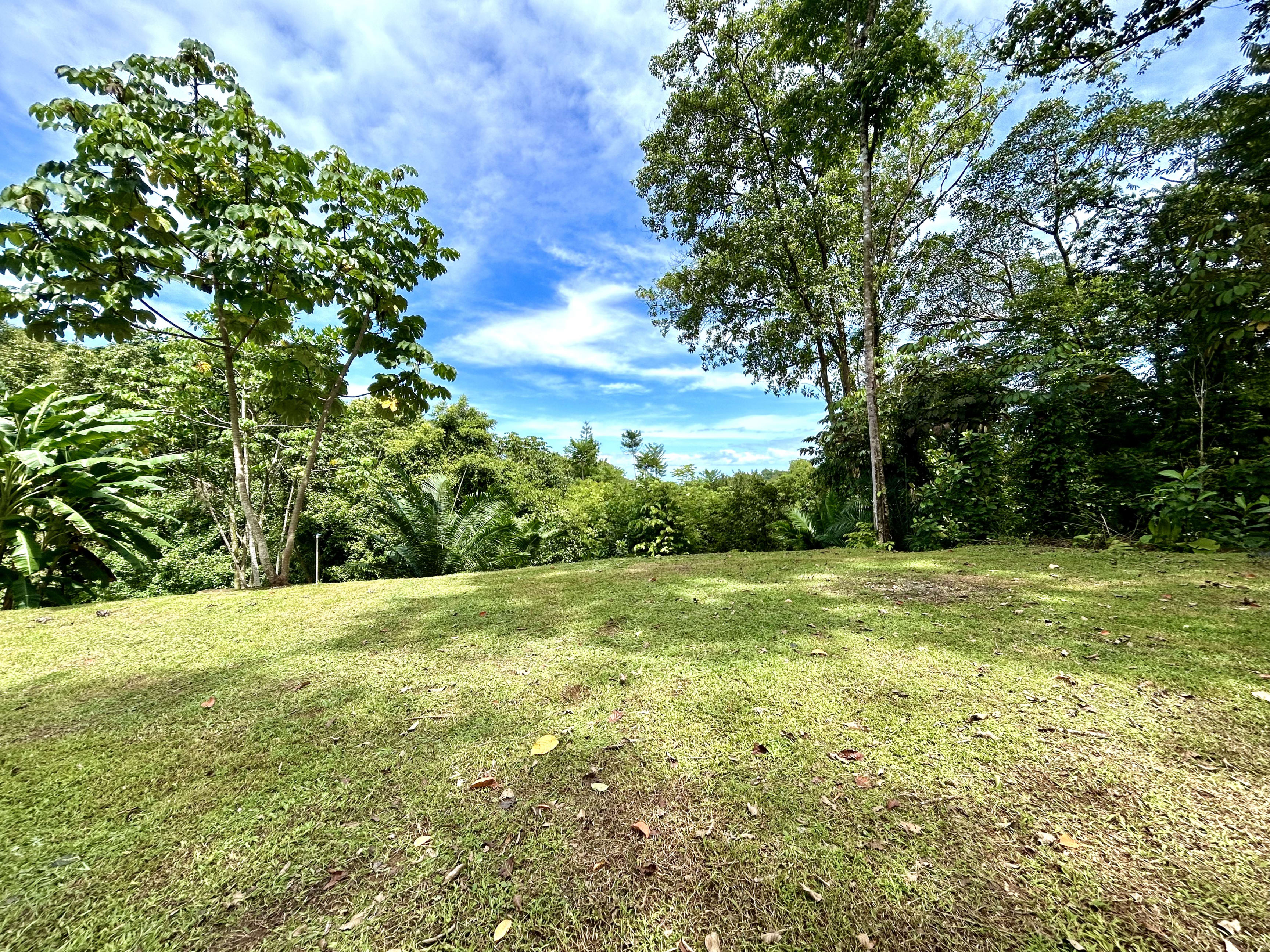 1.2-Acre Ocean View Lot in Altos de la Colonia, Uvita property photo 3