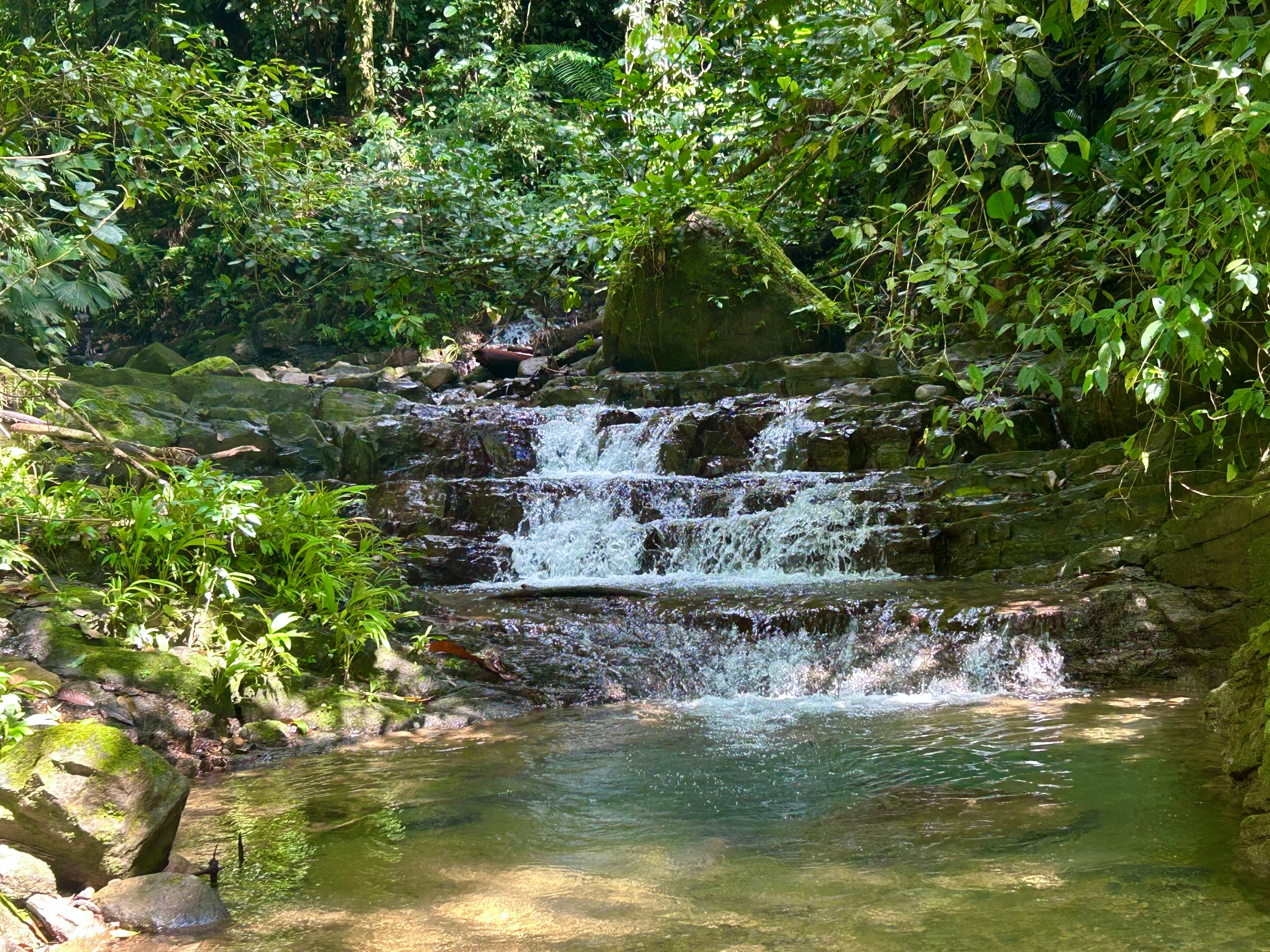 5.9-Acre Jungle Estate in San Josecito, Uvita property photo 2