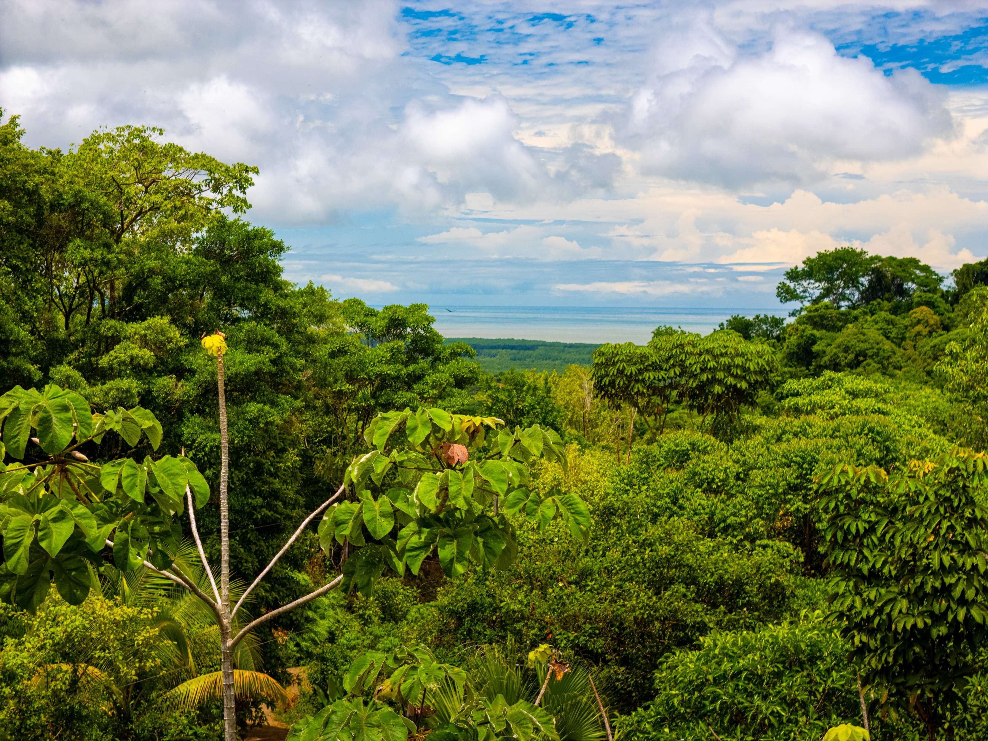 Ocean View Land with Waterfall in Tres Rios, Ojochal property photo 3