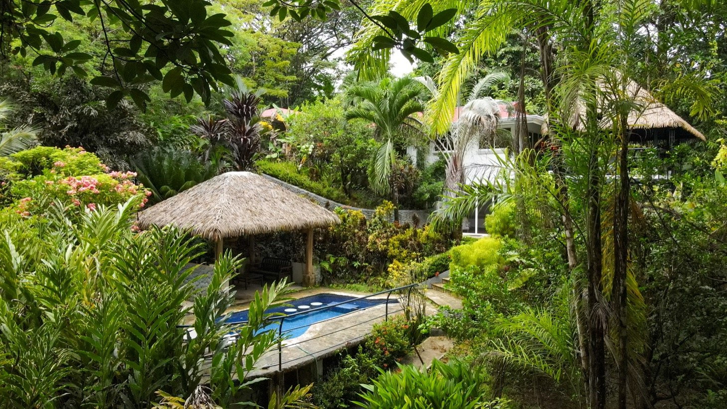 Modern Jungle Home in Ojochal property photo 2