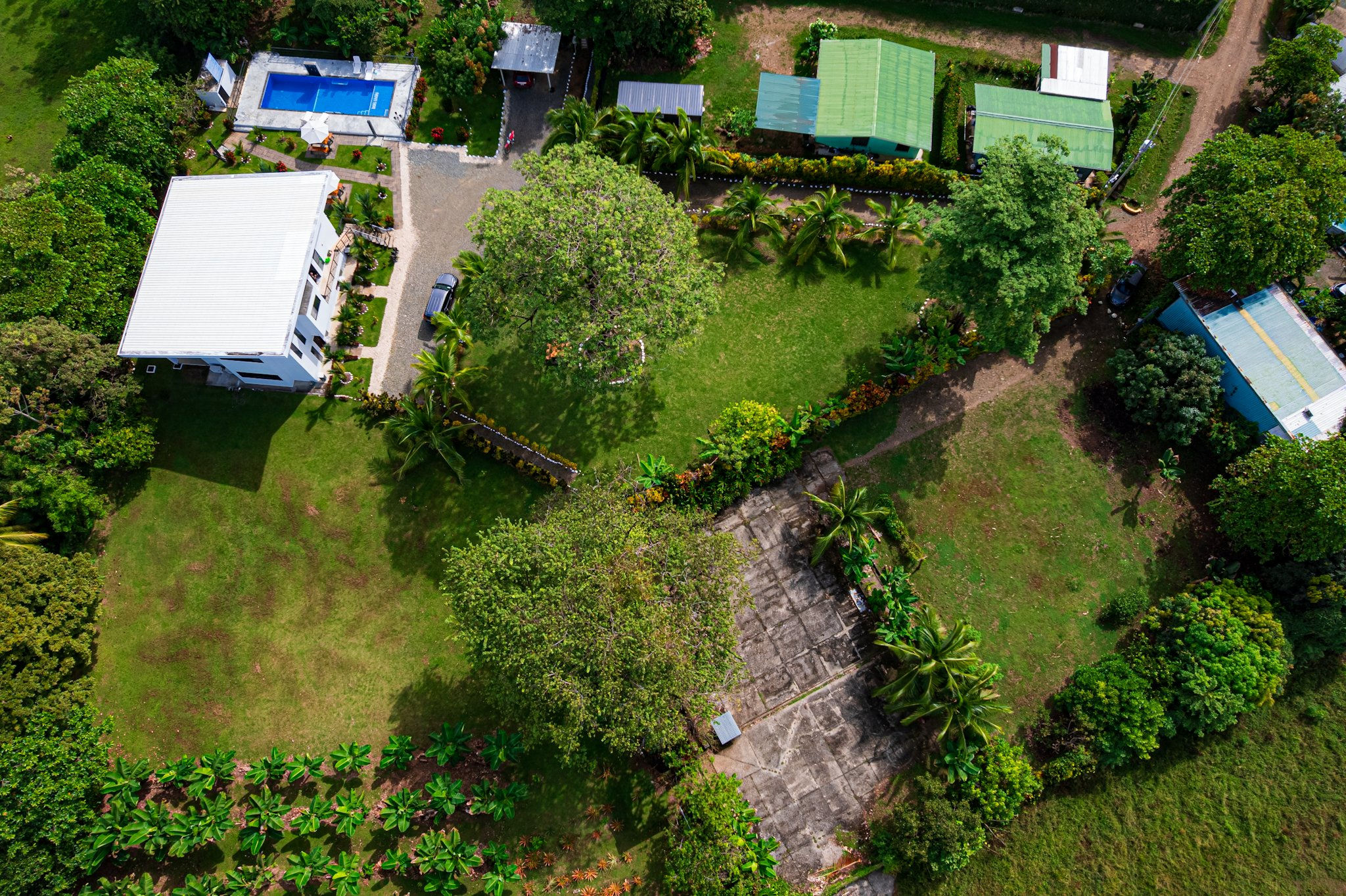 Flat Build-Ready Lot in Ballena | Mature Fruit Trees