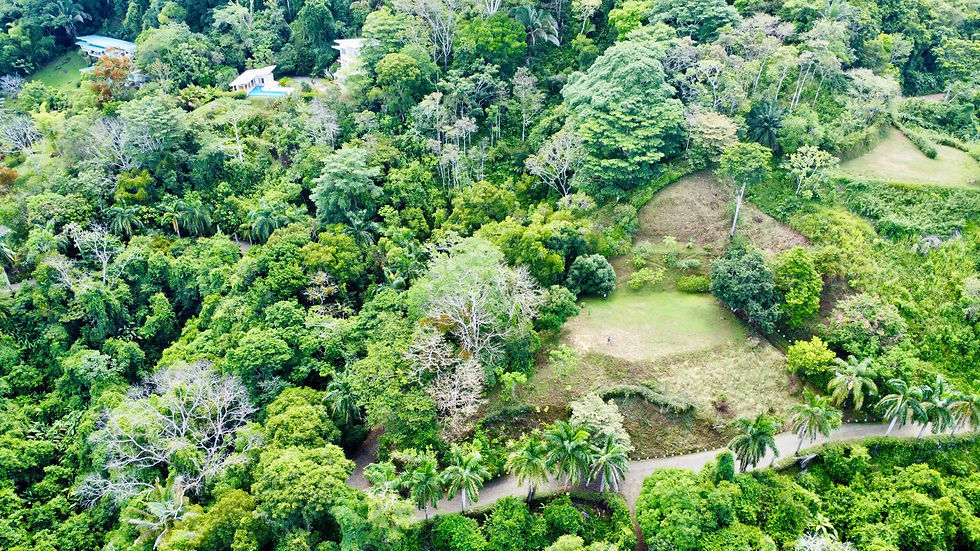 Thumbnail: Elevated Pacific View Land in Dominical | 3.6 Acres