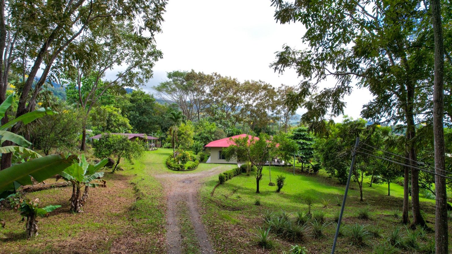 Fruit-Orchard Estate on 2.75 Acres, Ojochal property photo