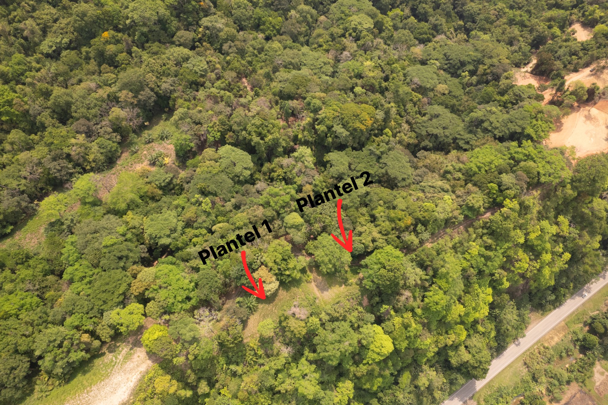 Ocean View Land in Ojochal property photo 2