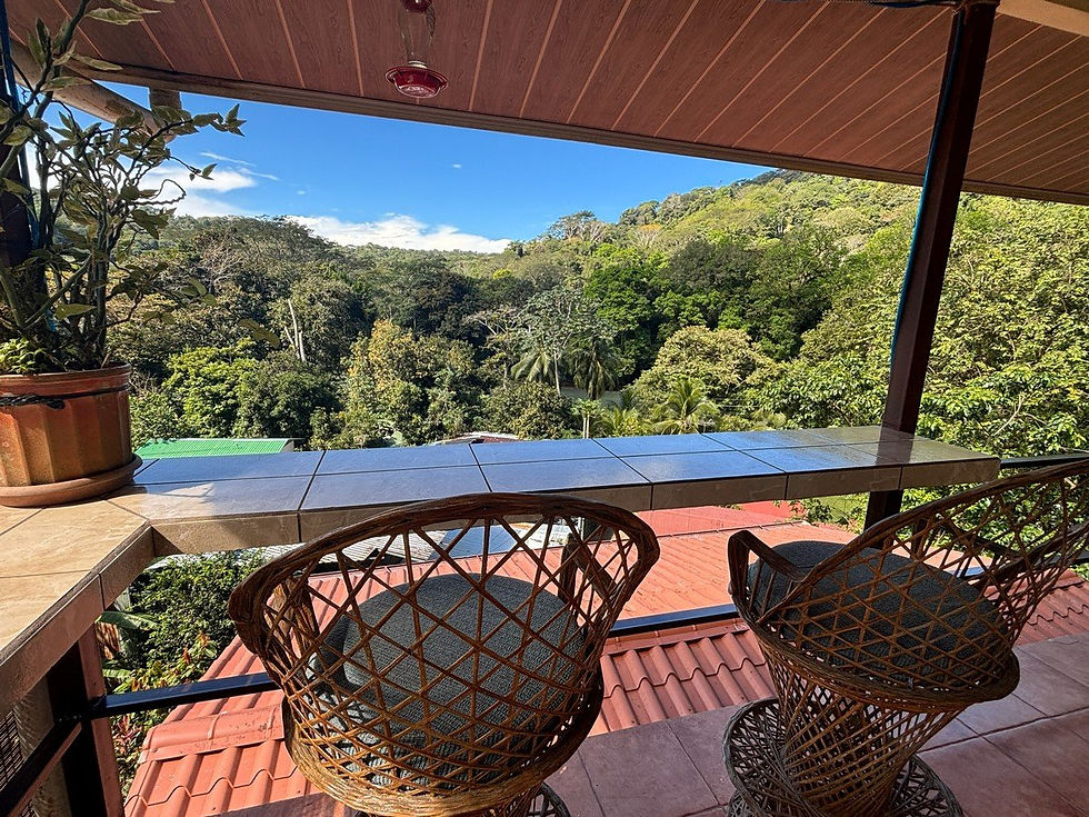 Thumbnail: Riverfront 4-Unit Package in Dominical | Owner Financing