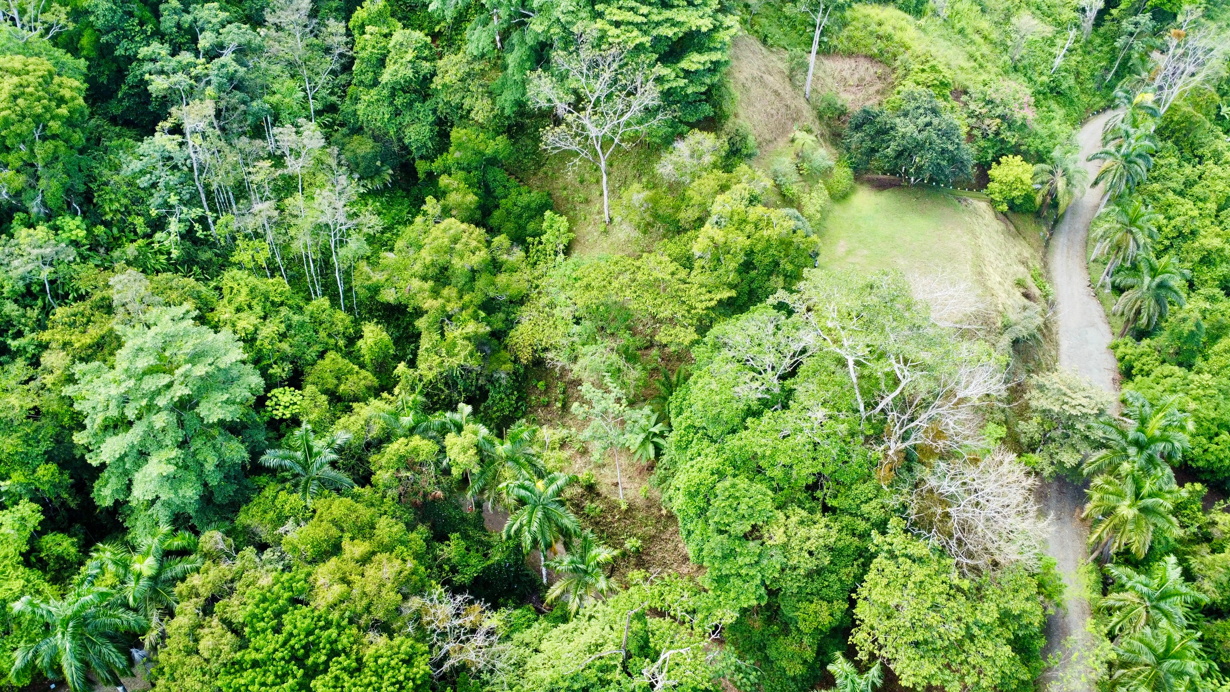 Elevated Pacific View Land in Rancho Lagunas, Dominical property photo 3