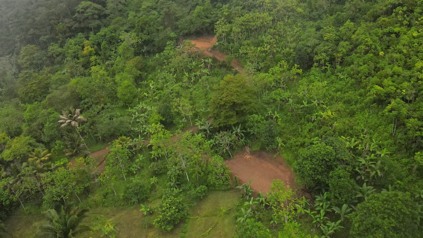 Mountain View Land in San Luis, Above Uvita property photo 3