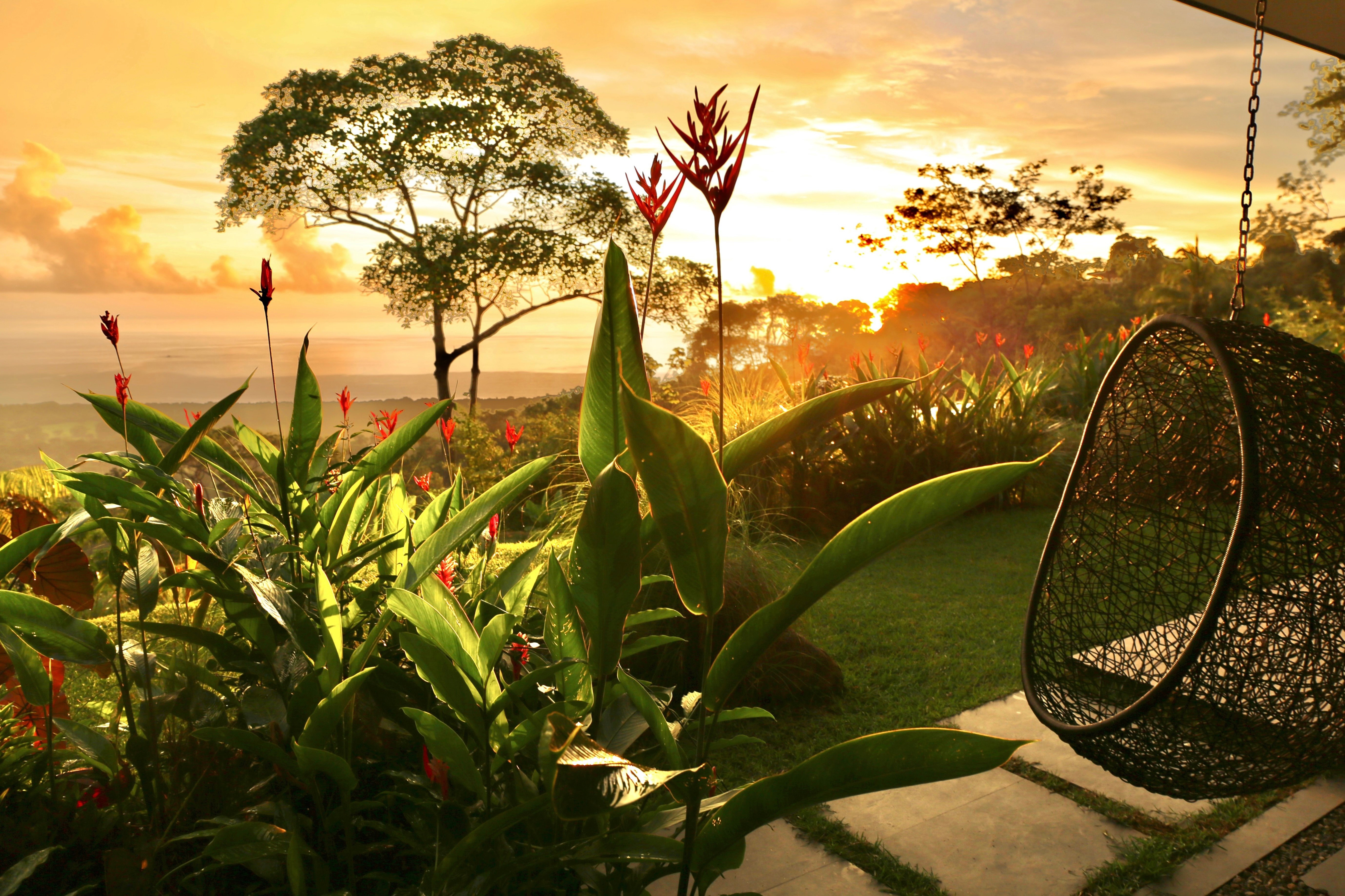 Designer Luxury Villas Above Uvita property photo 5