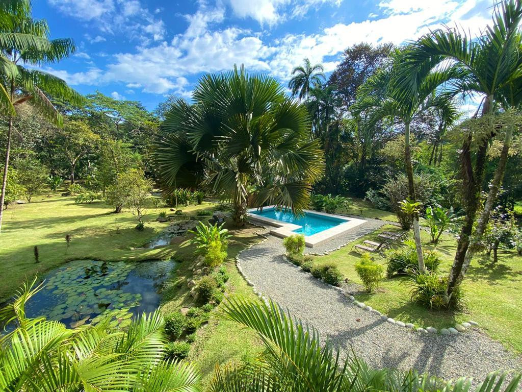 Income-Producing Lodge (Buena Onda Lodge) in Ojochal property photo 5