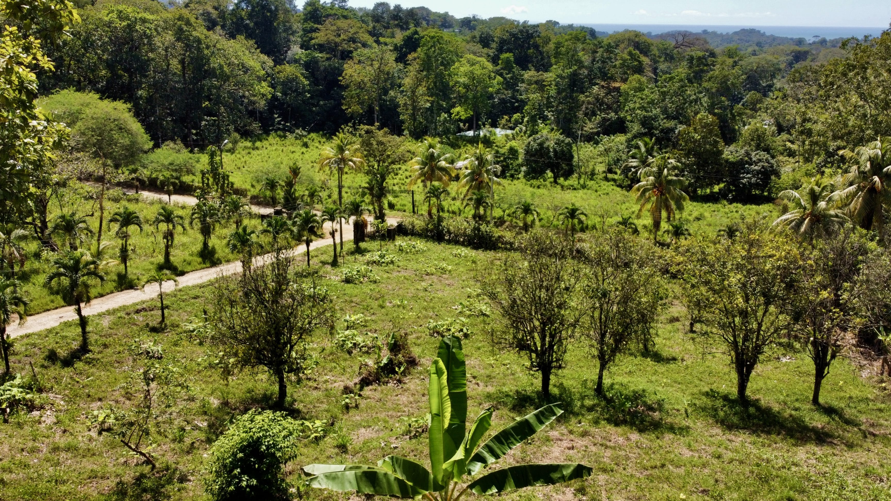 Multi-Zone Corner Lot in Ojochal property photo 4