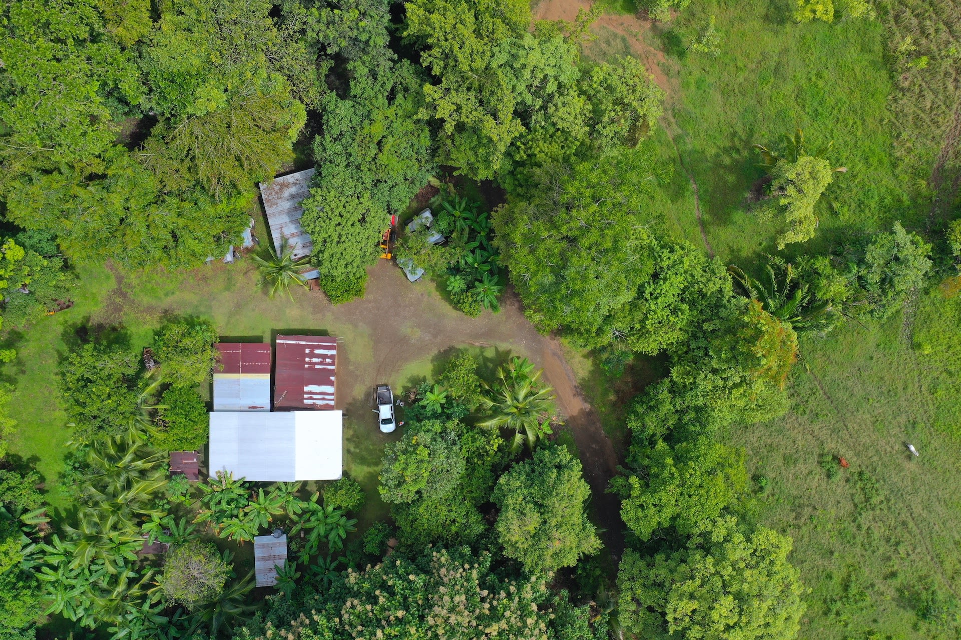 Teak and Hardwood Farm in Parrita, Puntarenas property photo 3