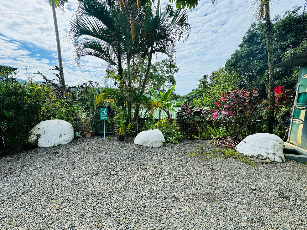 Thumbnail: Turnkey Commercial Property in Uvita | 7 Bed / 8 Bath