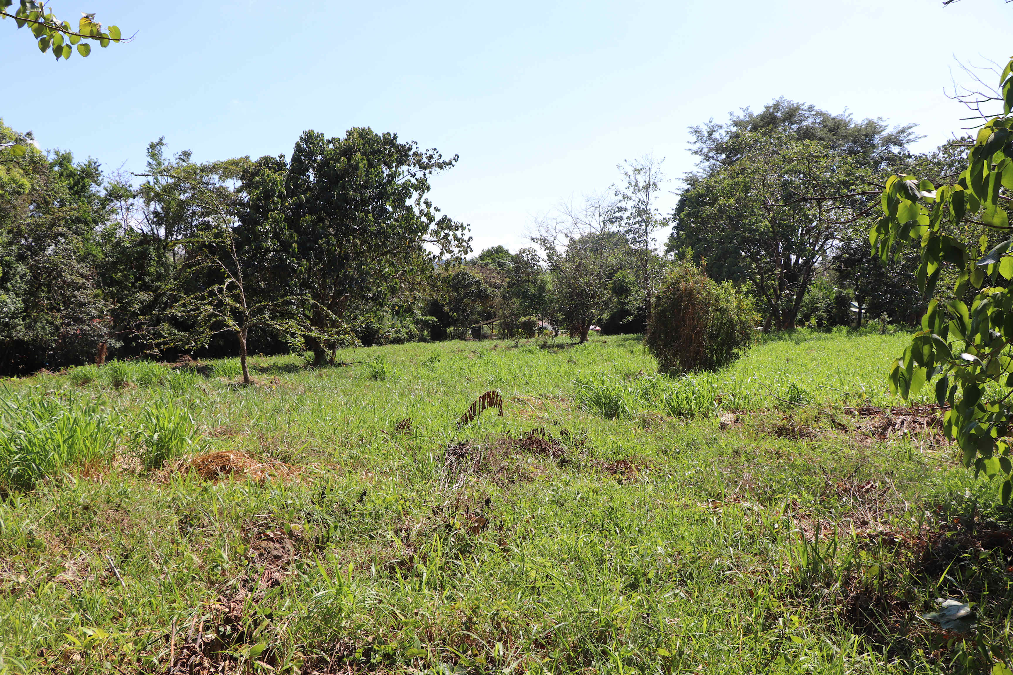 3-Acre-Plus Development Land in Ojochal property photo 5