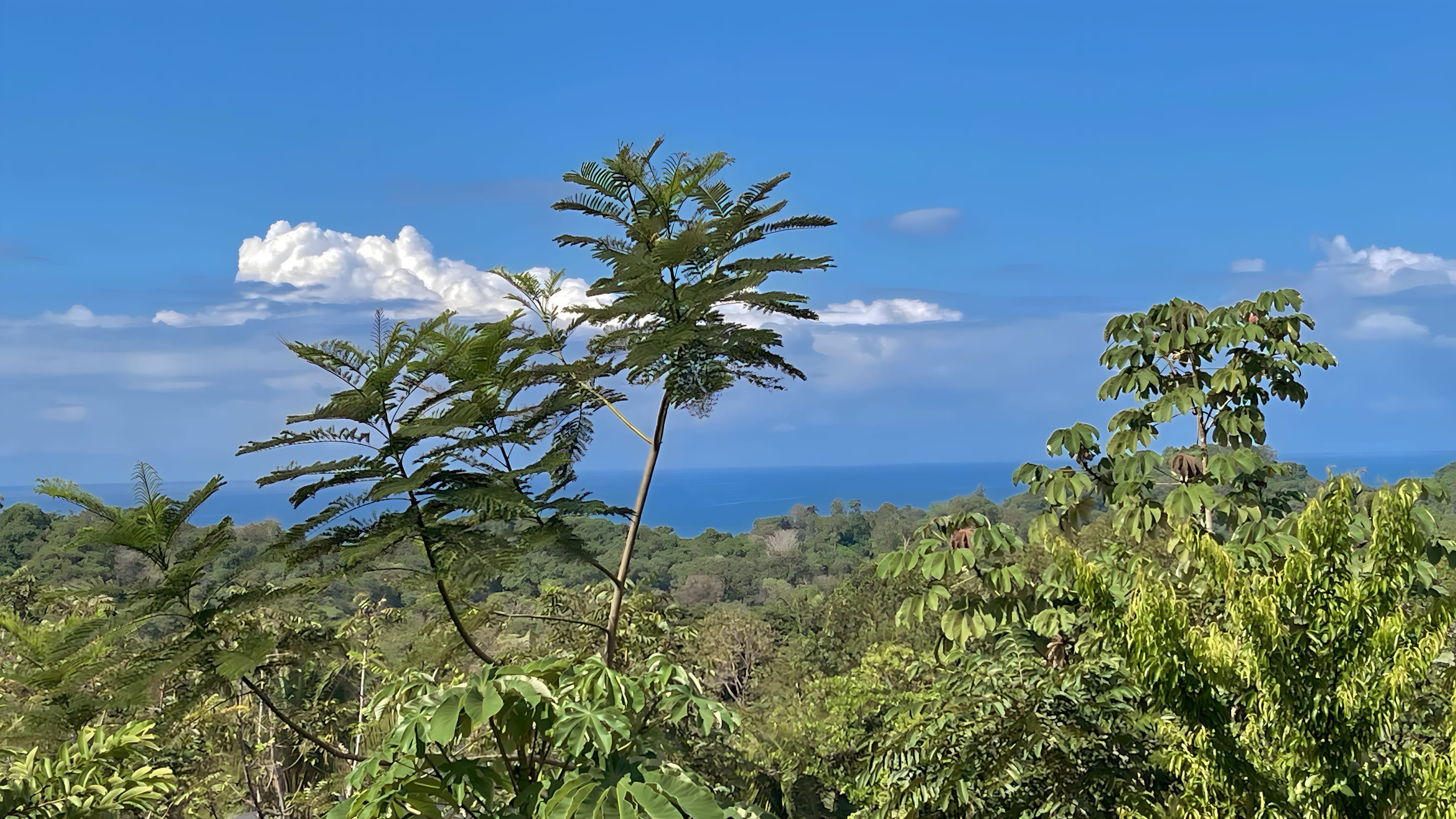 1.2-Acre Ocean and Mountain View Lot in Playa Hermosa, Near Uvita property photo 3