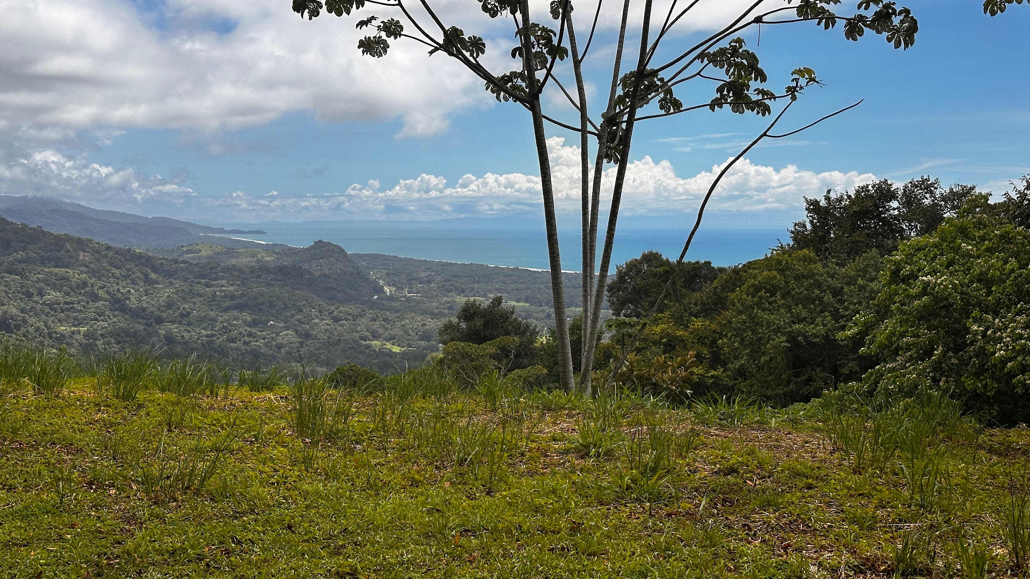 5.25-Acre Ocean View Land in Hills of Portalon property photo 2