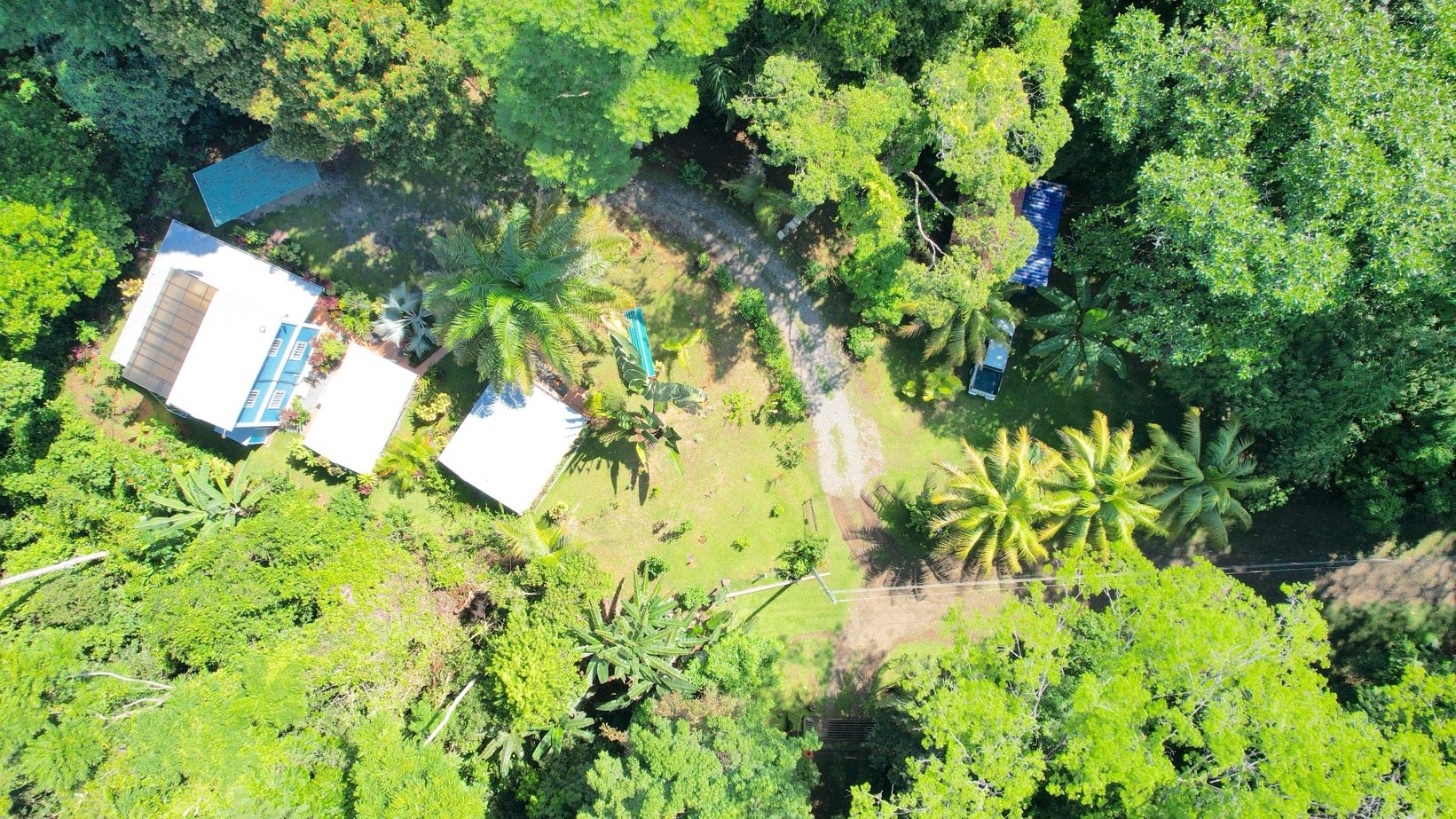 Jungle Compound with 3 Building Sites in Ojochal property photo 5
