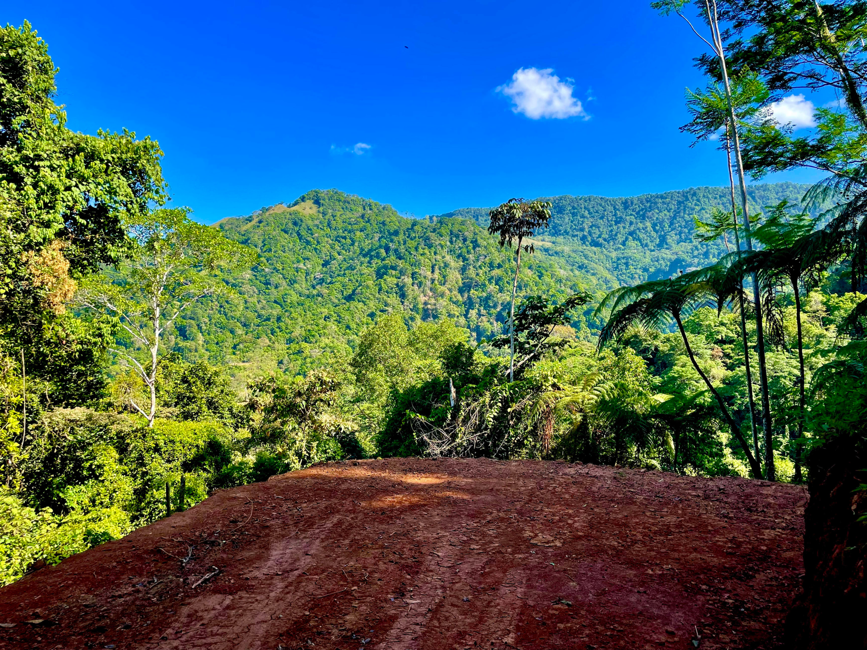 Land Bordering a Wildlife Reserve in Tres Ríos property photo 10