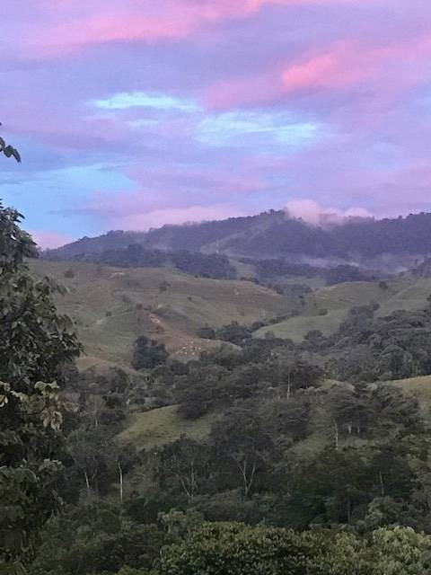 6-Hectare Estate in Platanillo with Waterfall property photo 4