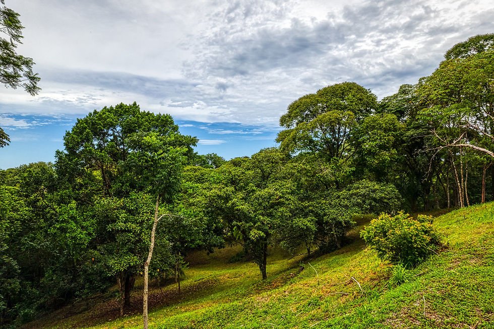 Thumbnail: 2.67 Acre Commercial Lot in Ojochal | Highway Frontage