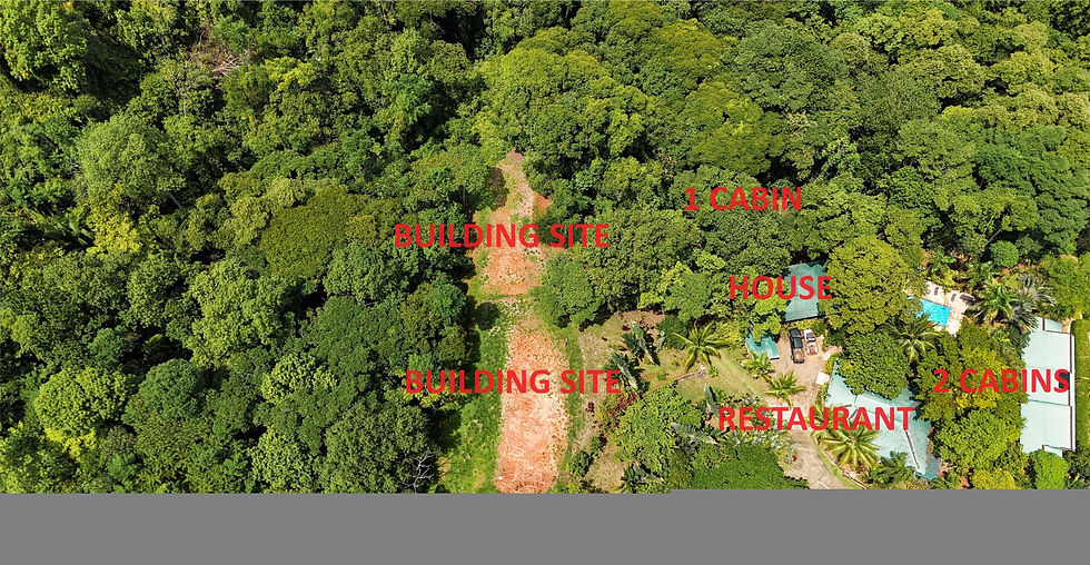 Thumbnail: Turnkey Restaurant & Estate on 4 Acres in Ojochal | 6 Bed