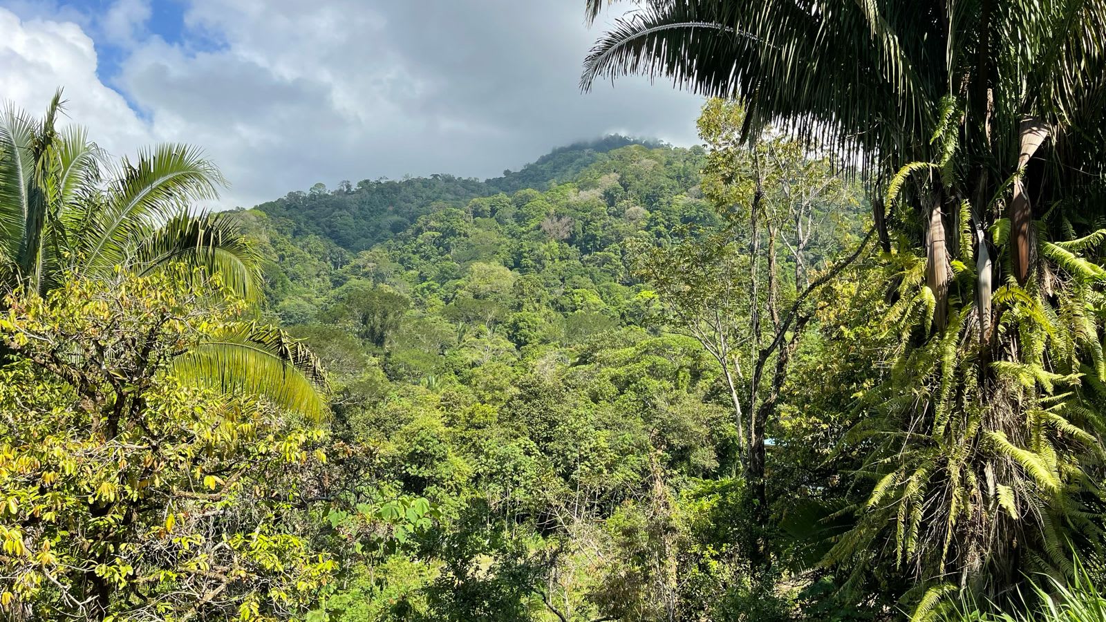 1.2-Acre Ocean and Mountain View Lot in Playa Hermosa, Near Uvita property photo 5