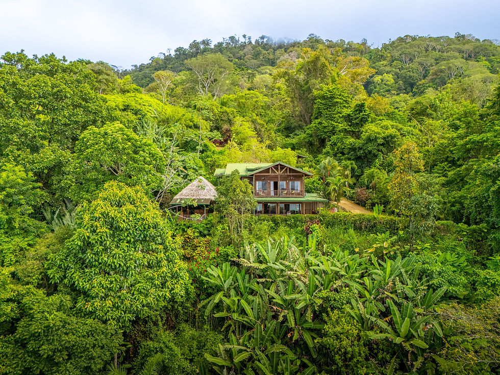 Thumbnail: Ocean View Villa in Perla de Ballena | 5 Bed / 5 Bath