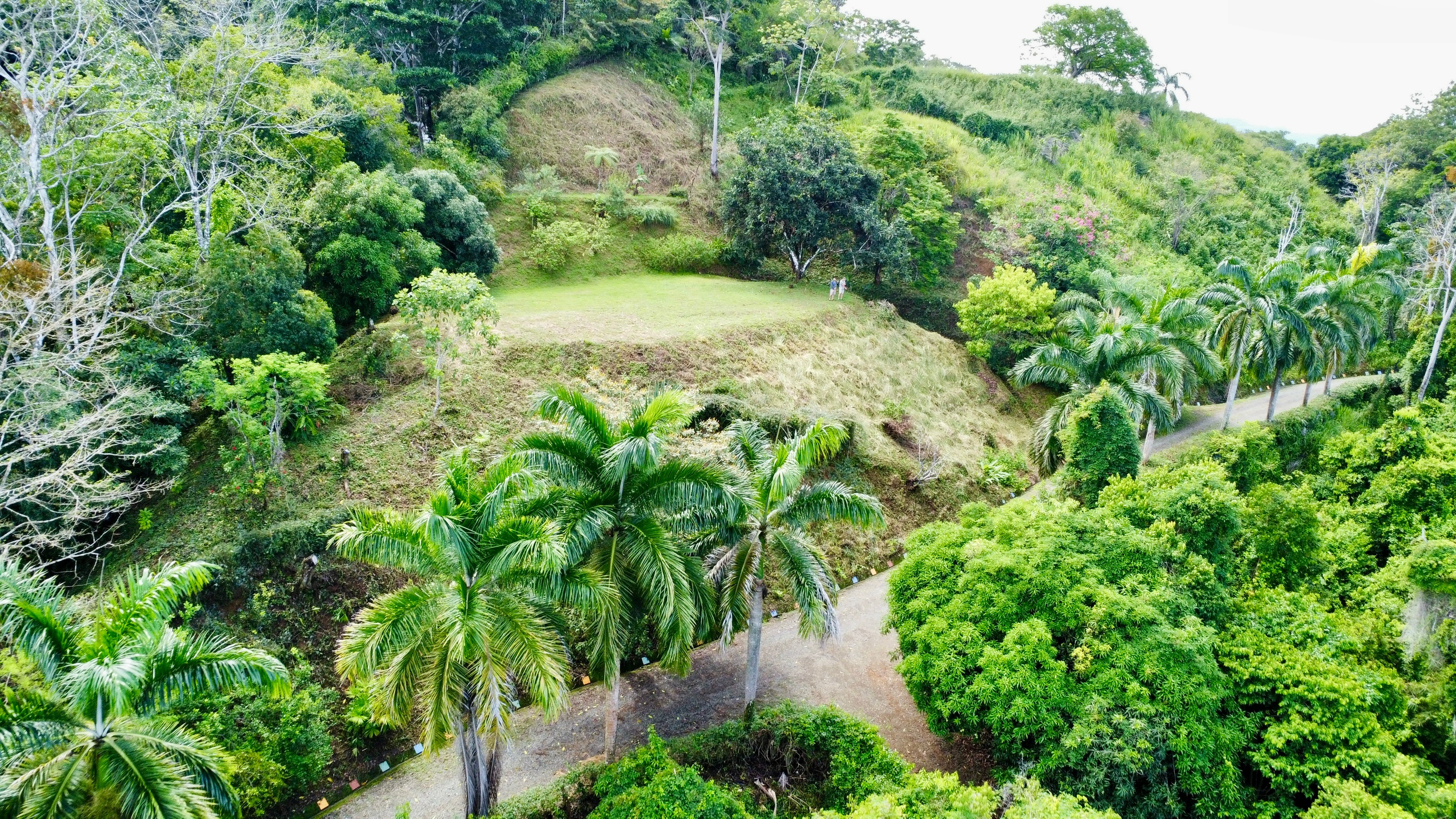 Elevated Pacific View Land in Rancho Lagunas, Dominical property photo 4