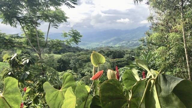 Thumbnail: 6-Hectare Estate in Platanillo | 3 Bed / 2 Bath