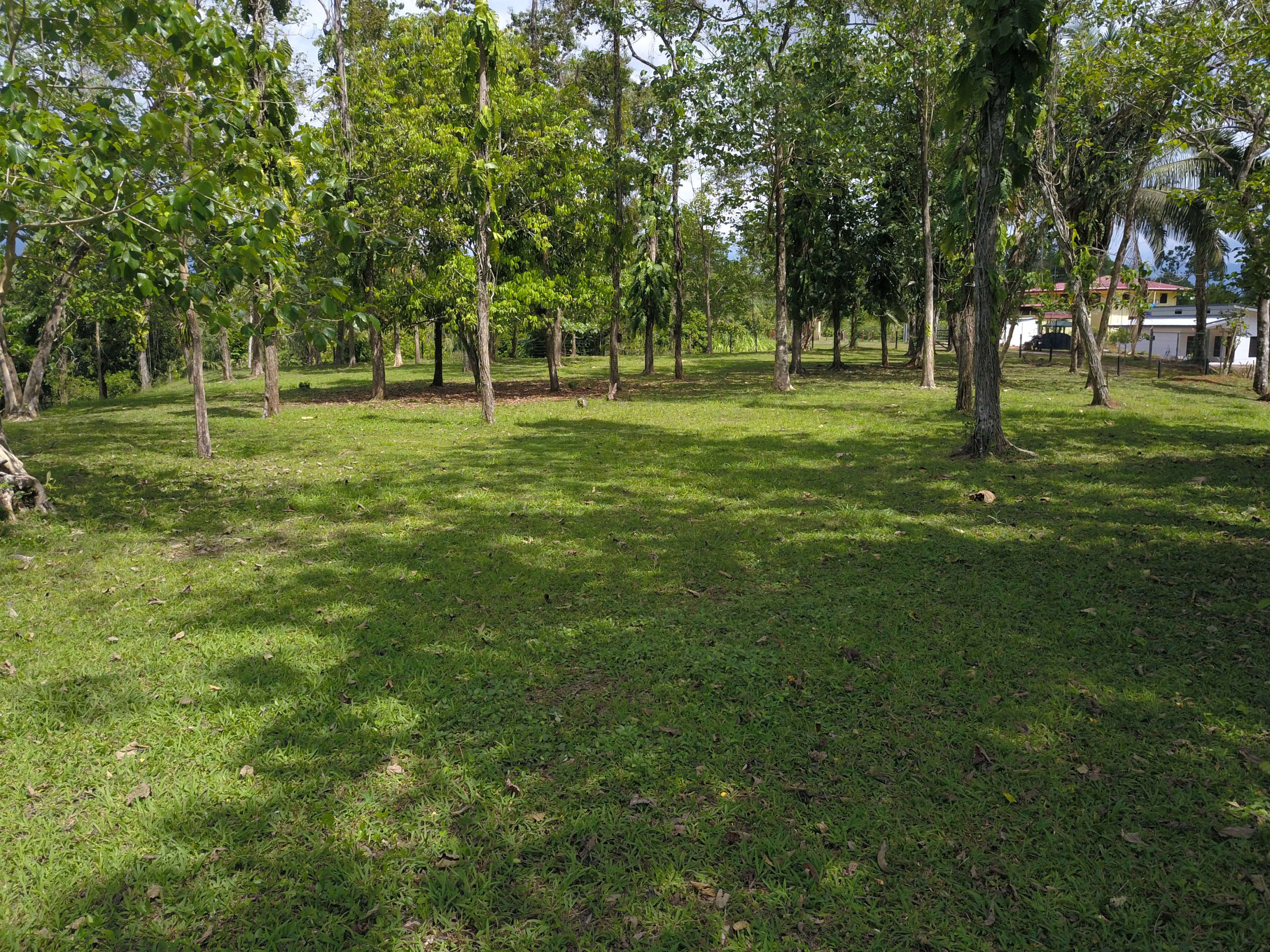 Development Land in Finca Gloriana, Quepos property photo 4