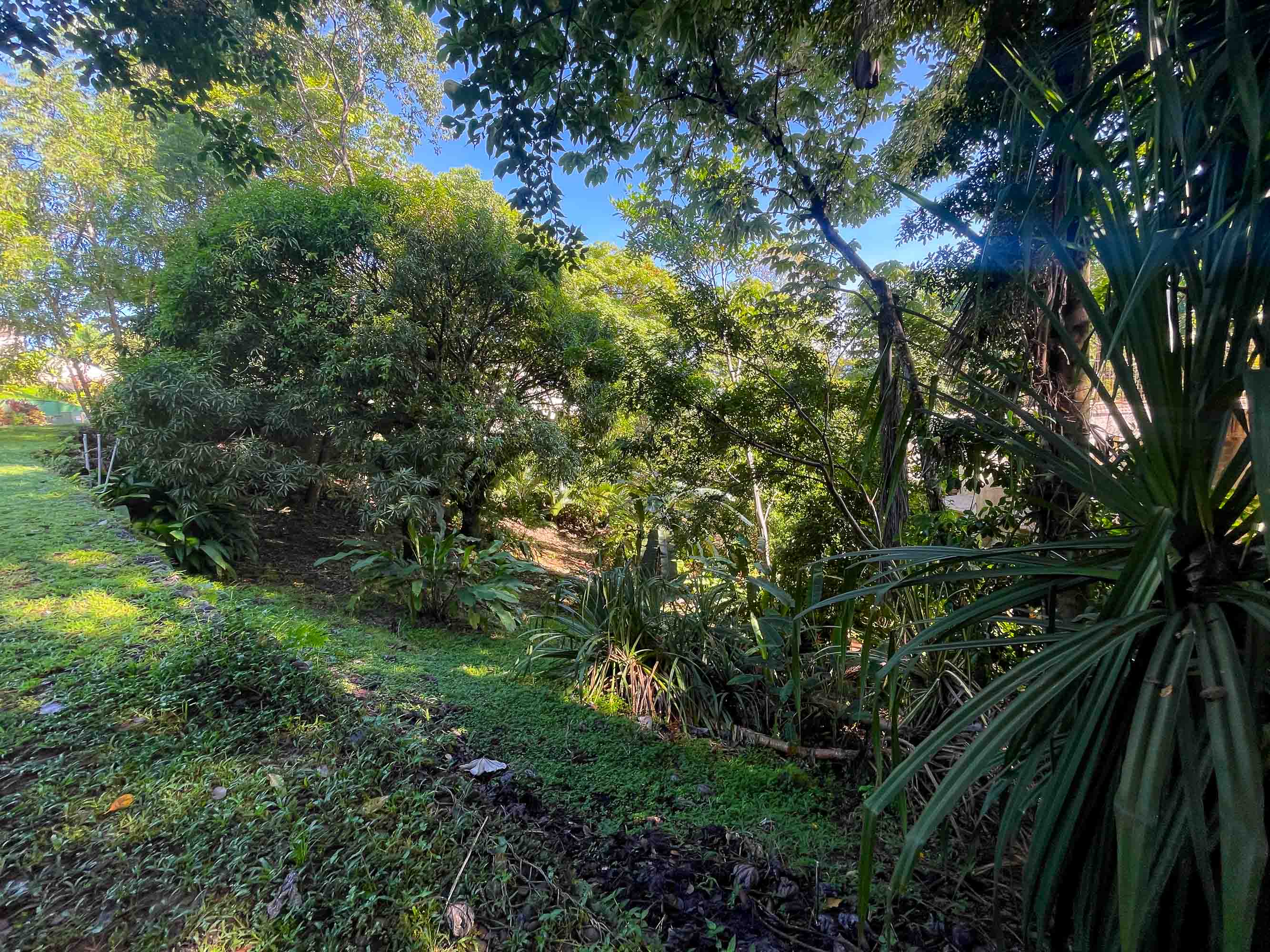 Gated Community Lot in La Reserva, Manuel Antonio property photo 3