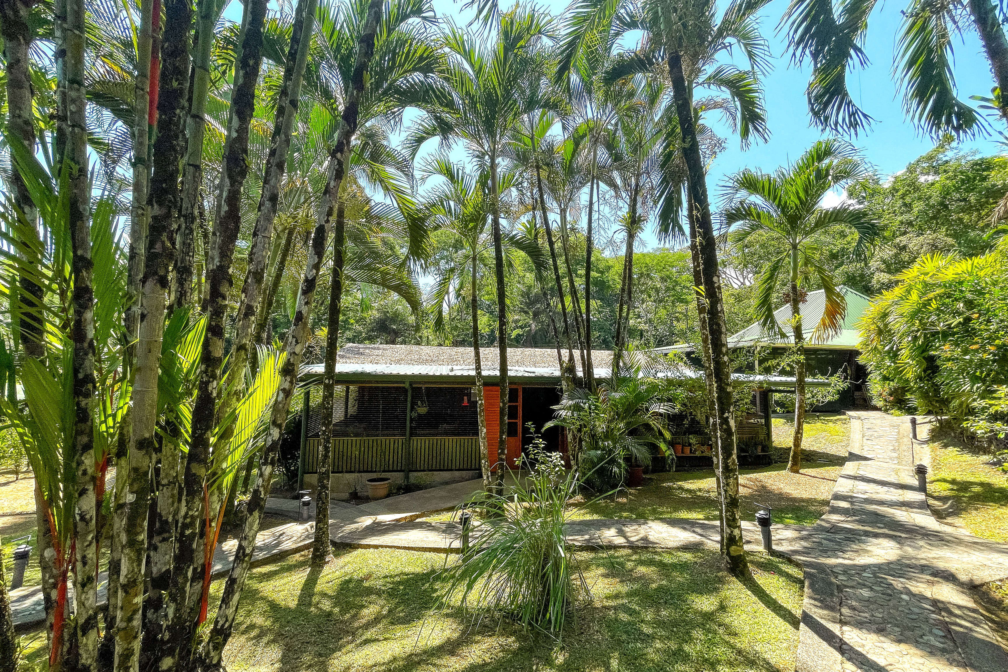 Luxury Estate in the Heart of Ojochal property photo 3