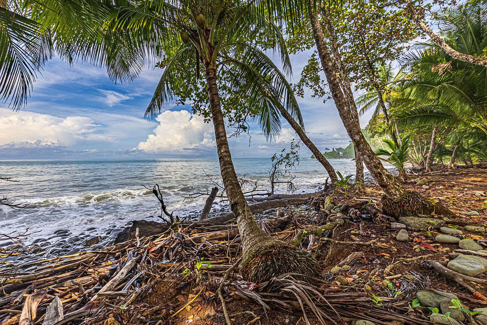 Thumbnail: Beachfront Property in Uvita | 1.2 Acres with Private Beach