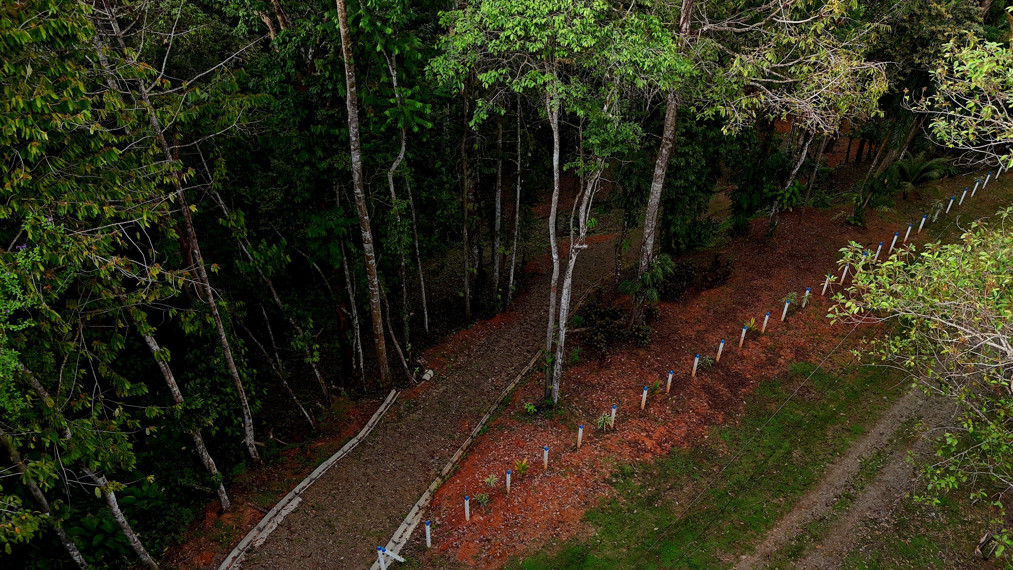 3.75-Acre Jungle Lot in Ventanas de Osa property photo 2