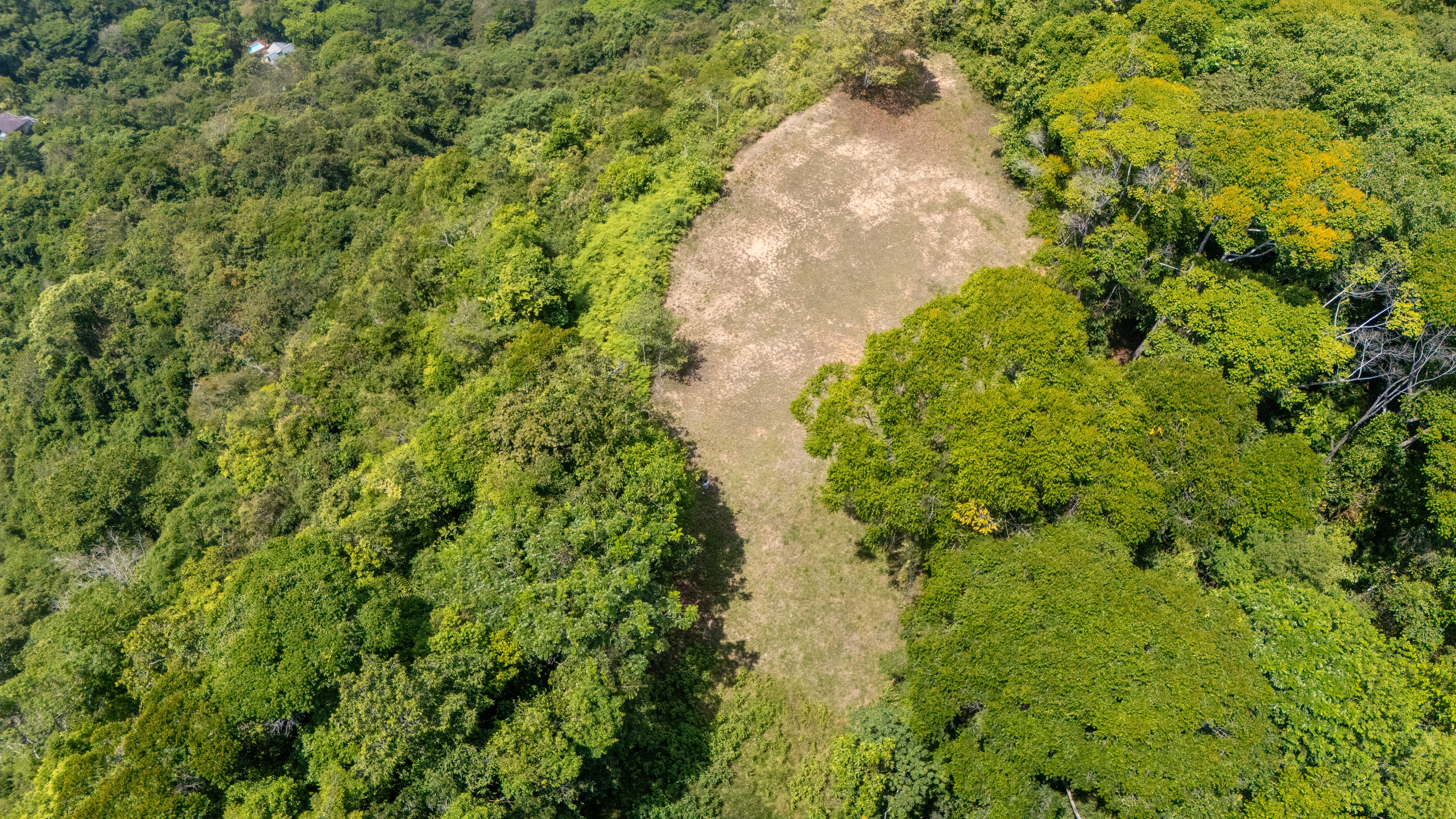 136-Acre Development Land Near Dominical property photo 4