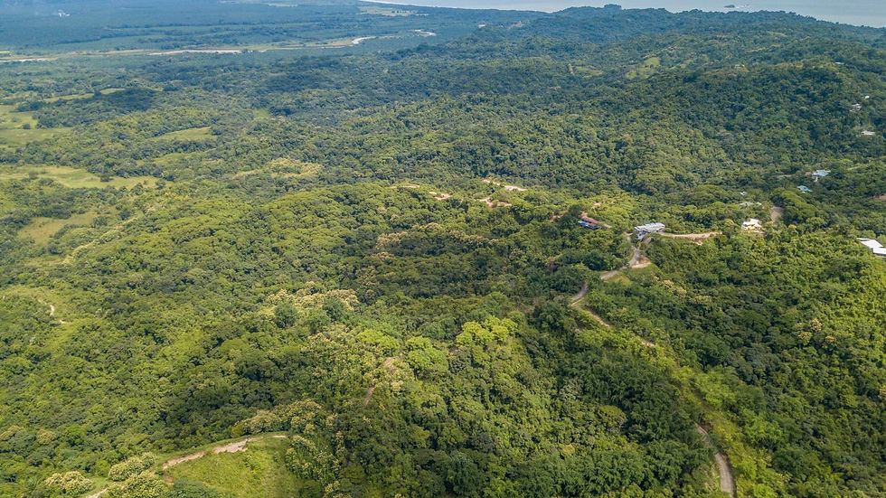 Thumbnail: 205 Acre Ocean View Land in Manuel Antonio | Panoramic Coastline